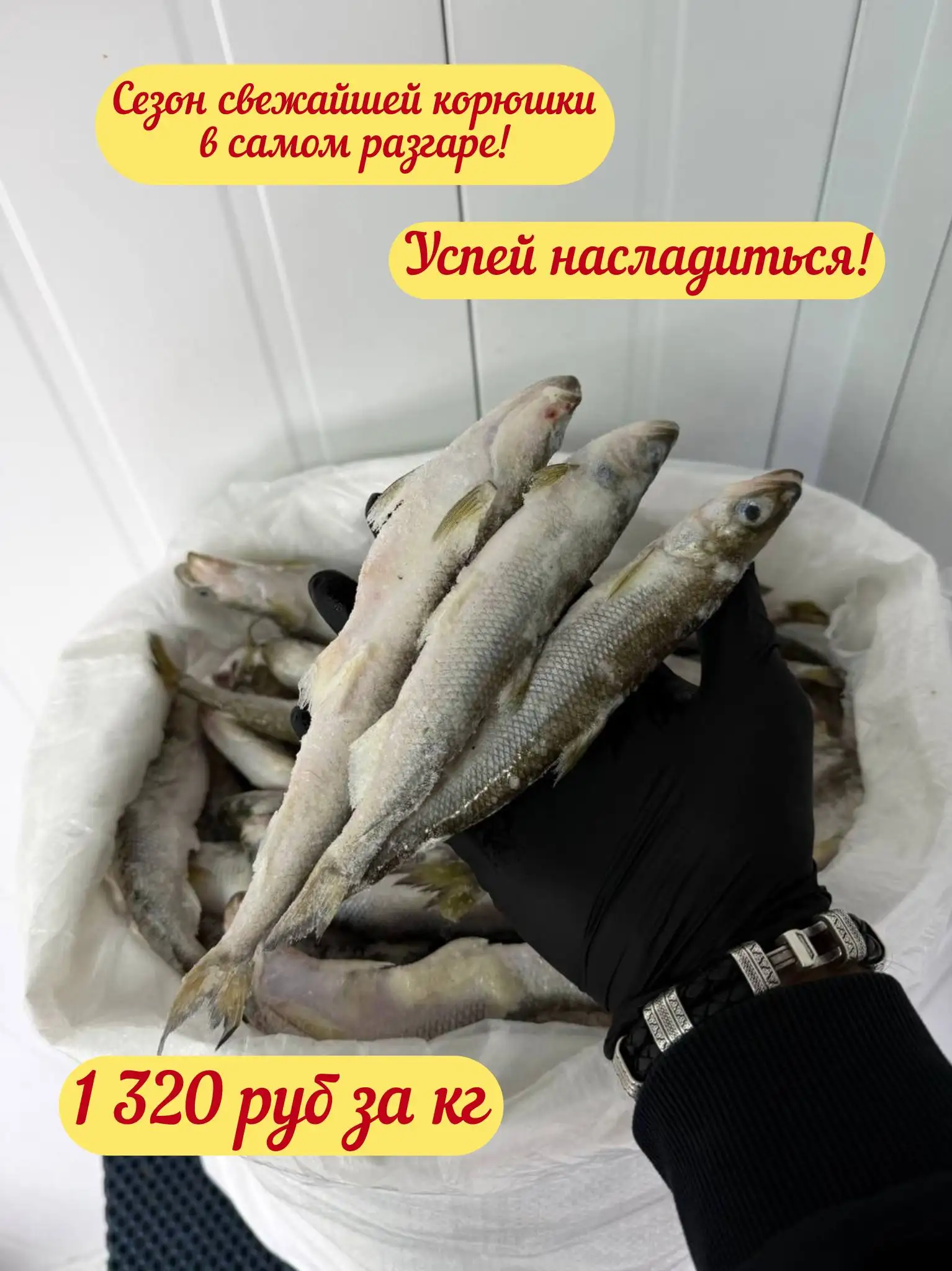 Продажа корюшки и зубатки сухой заморозки - Продукты питания (Барахолка) в Краснодар