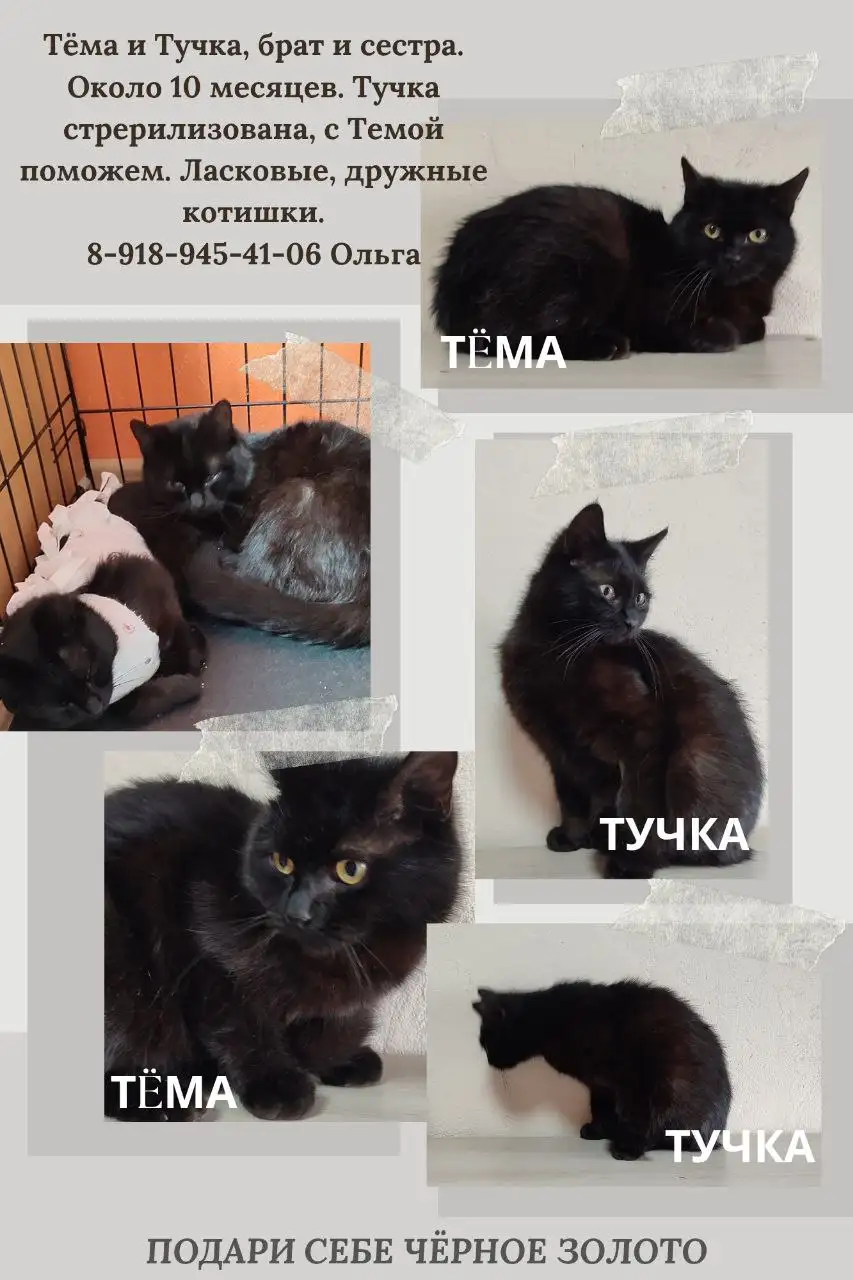 Продажа квартиры в Краснодаре - Квартиры (Недвижимость) в Краснодар