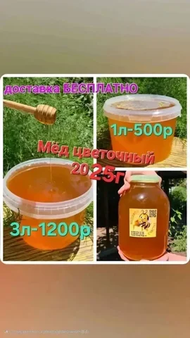 Мед с пасеки 2025 года - частное объявление в Краснодар