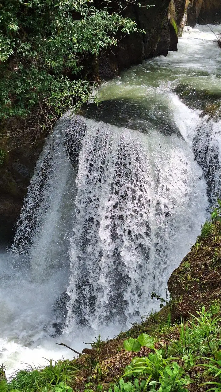 Туристический тур по Абхазии на 3 дня - Туризм (Хобби и отдых) в Краснодар