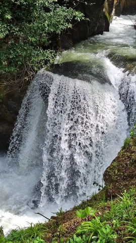 Туристический тур по Абхазии на 3 дня - частное объявление в Краснодар