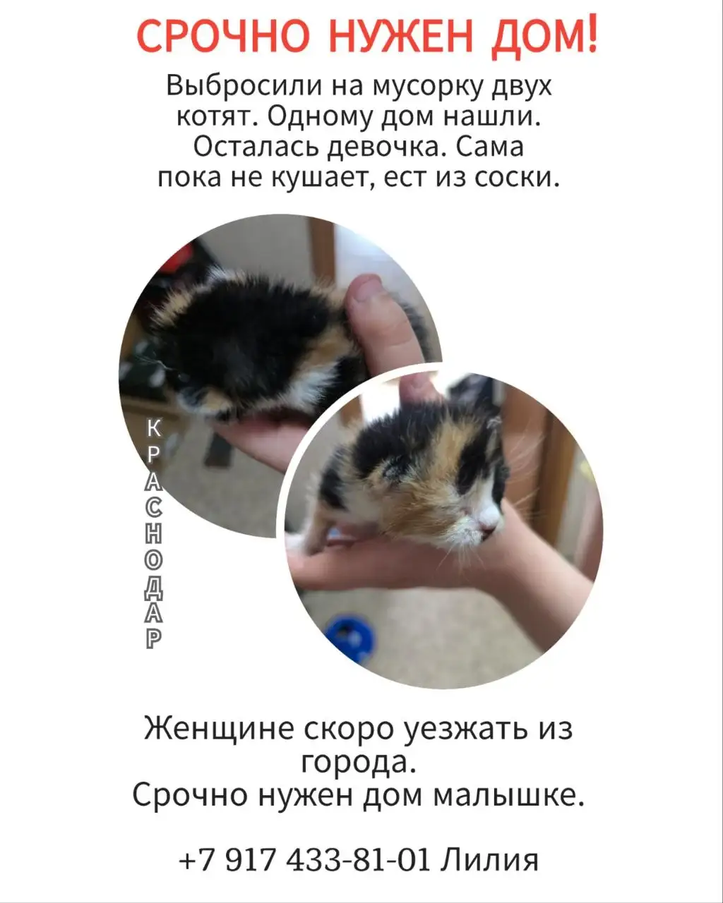 Продается дом в Краснодаре - Дома (Недвижимость) в Краснодар