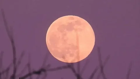 Апрельская Розовая Луна - Астрономия в Краснодар