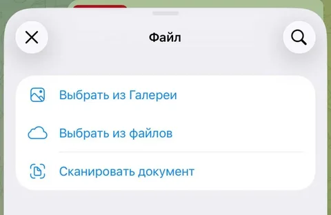 Встроенный сканер документов в Telegram для iOS - Строительные и ремонтные работы в Краснодар
