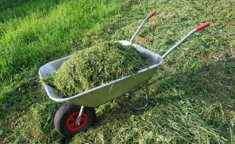 Уборка дачи: прополка, корчевание, планировка земли - Уборка и благоустройство (Услуги) в Краснодар