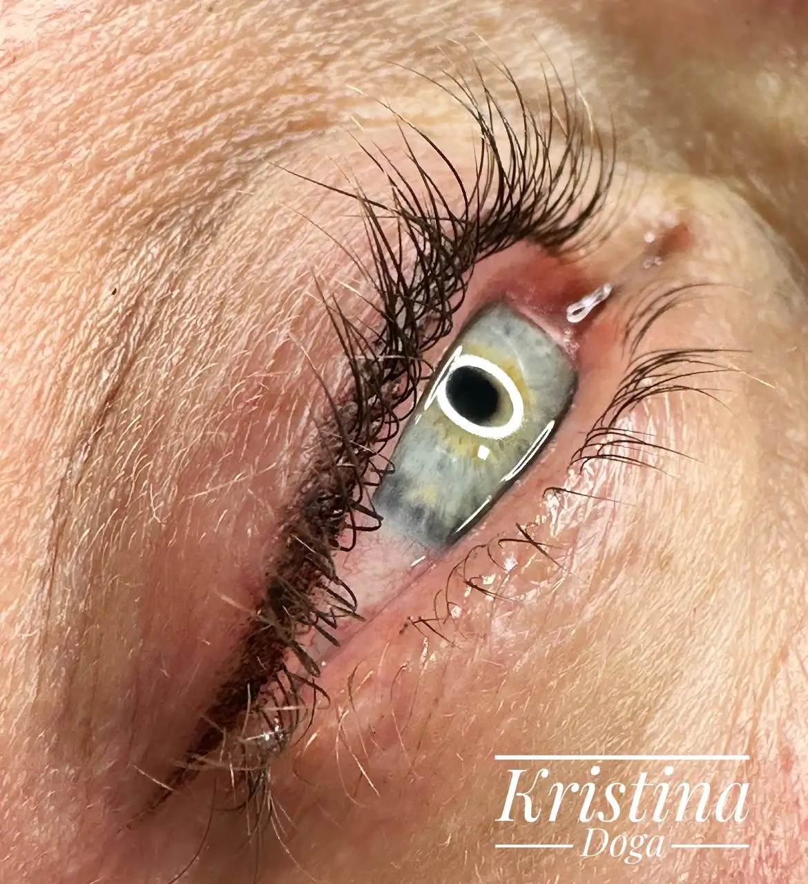 Перманентный макияж и косметологические услуги - Красота и здоровье (Услуги) в Краснодар