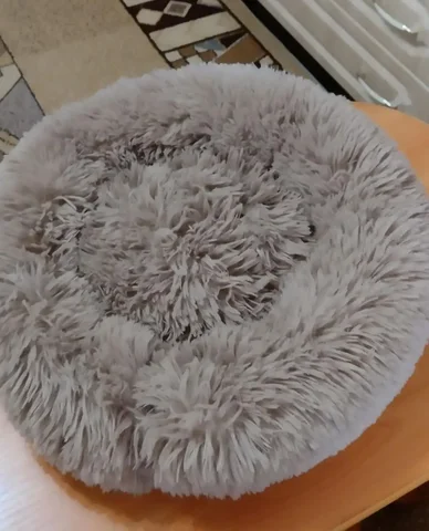 Лежанка для кошек - Потерянные животные в Краснодар