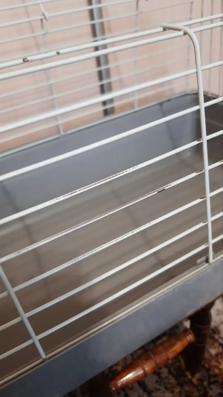 Клетка для грызунов б/у - Клетки и аксессуары для грызунов (Животные) в Краснодар