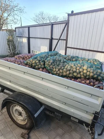 Продам картофель Галла, 2 сорт - частное объявление в Краснодар