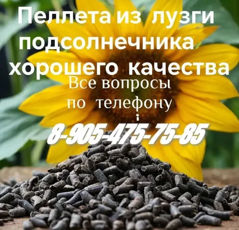 Пеллеты из лузги подсолнечника - Водонагреватели в Краснодар