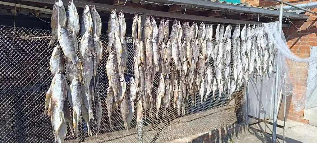 Продам малосольную рыбу - Барахолка в Краснодар