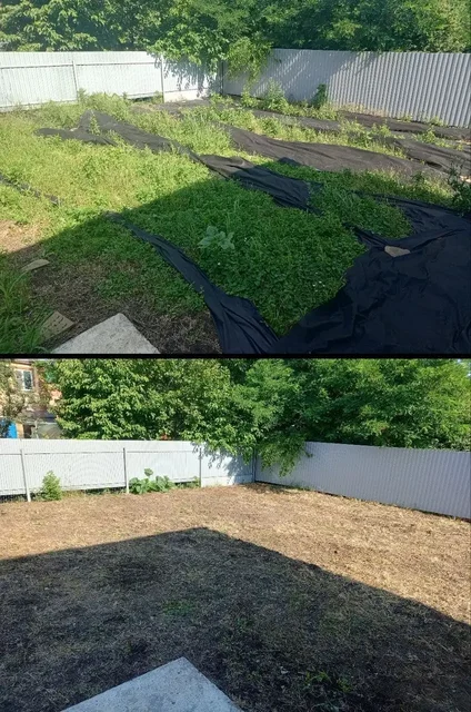 Услуги по уборке участков и садовых работ - Хозяйственные услуги в Краснодар