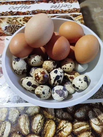 Домашние яйца: куриные и перепелиные - Для дома и дачи в Краснодар
