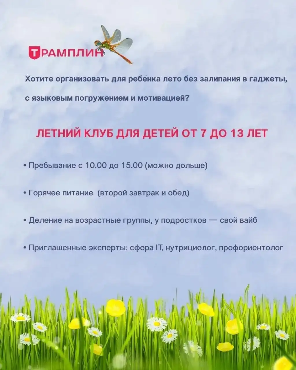 Летние программы в Трамплине - Образование в Краснодар
