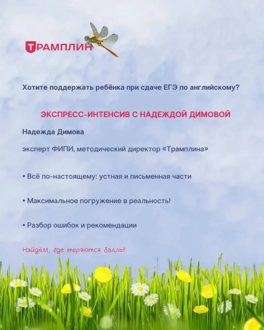 Летние программы в Трамплине - Образование в Краснодар