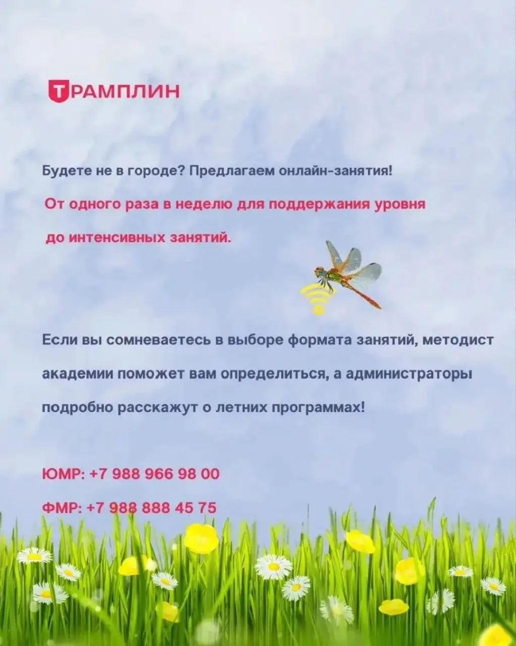 Летние программы в Трамплине - Образование в Краснодар