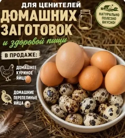 Продажа домашних яиц и мяса бройлера - частное объявление в Краснодар