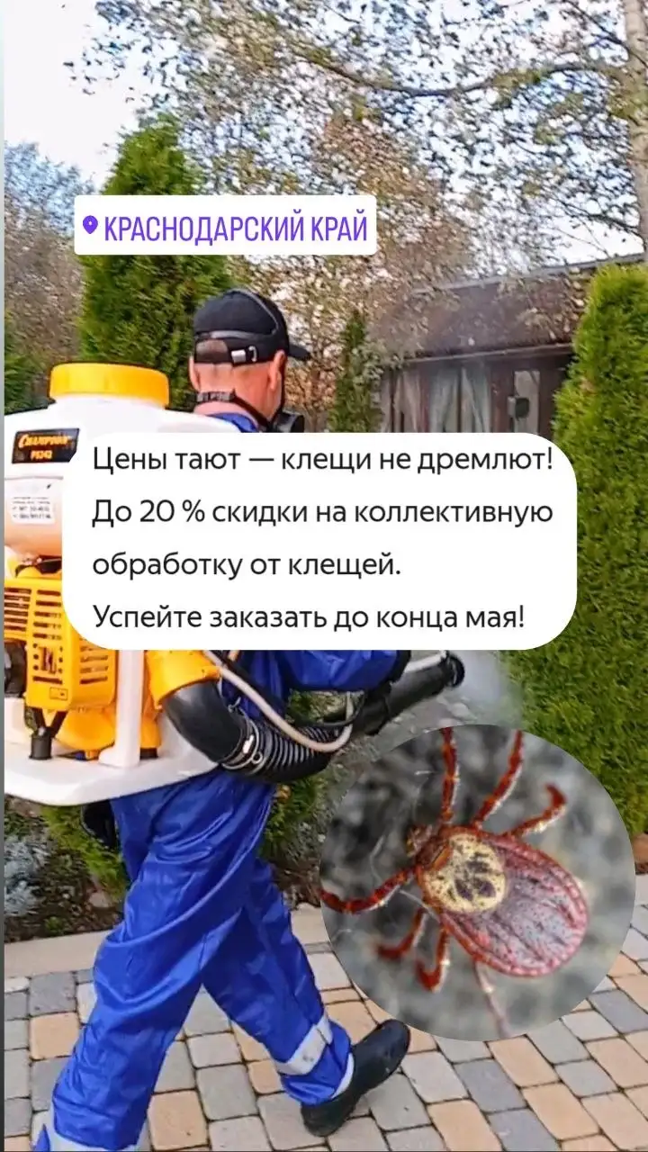 Профессиональная обработка участков и покос травы - Сельскохозяйственные услуги (Услуги) в Краснодар