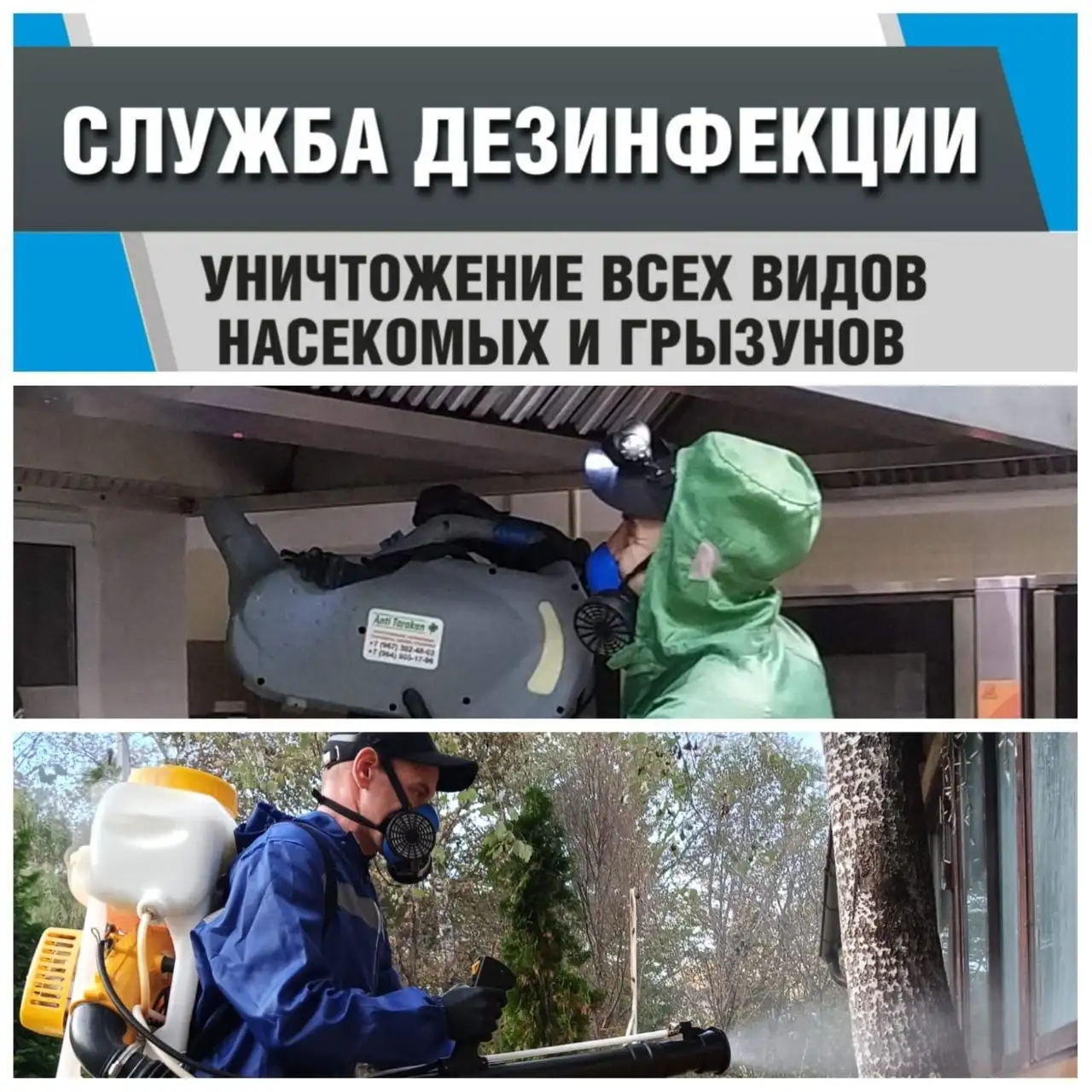 Услуги по обработке участков от клещей, насекомых и грызунов - Обработка участков (Услуги) в Краснодар