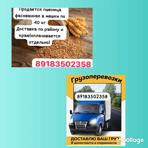 Продажа зерна урожай 2025 года - частное объявление в Краснодар