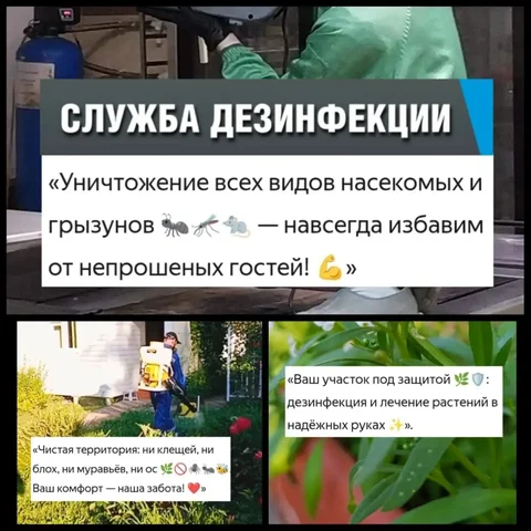 Профессиональная дезинфекция, дезинсекция, дератизация - Повар на выезд в Краснодар
