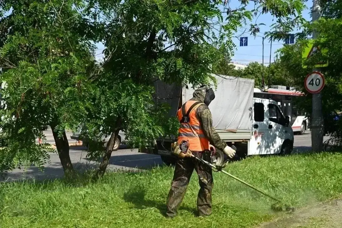 В Краснодаре продолжают бороться с амброзией - Городские услуги (Услуги) в Краснодар
