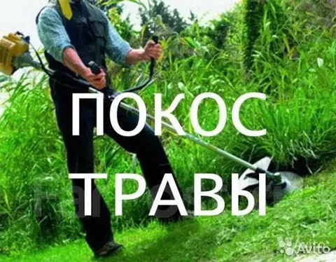 Услуги по покосу травы и уходу за участком - Красота в Краснодар