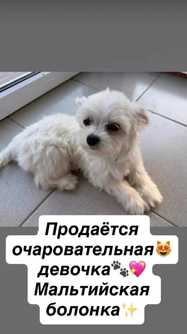Обращение по телефону - Барахолка в Краснодар
