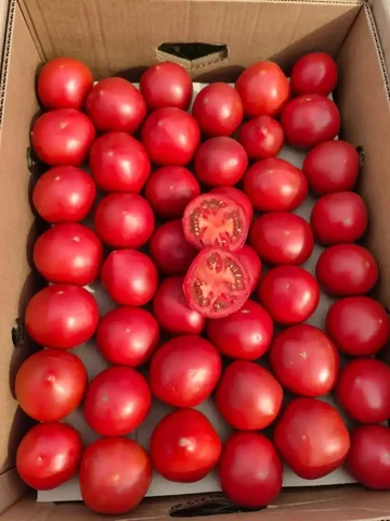 Продажа мясистых розовых помидоров с Курганинска - частное объявление в Краснодар