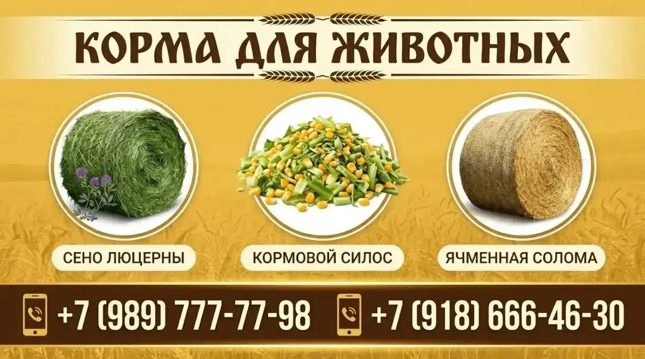 Продажа кормов: сено, силос, солома - Барахолка в Краснодар