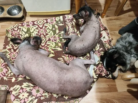 Сниму 1-2 комнатную квартиру в Казани - Аренда коммерческой недвижимости в Казань