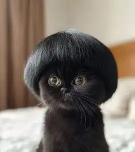 Семья снимет квартиру в Казани - Аренда (Недвижимость) в Казань