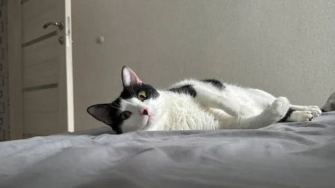 Сдам квартиру в Советском районе Казани - Аренда квартир посуточно в Казань