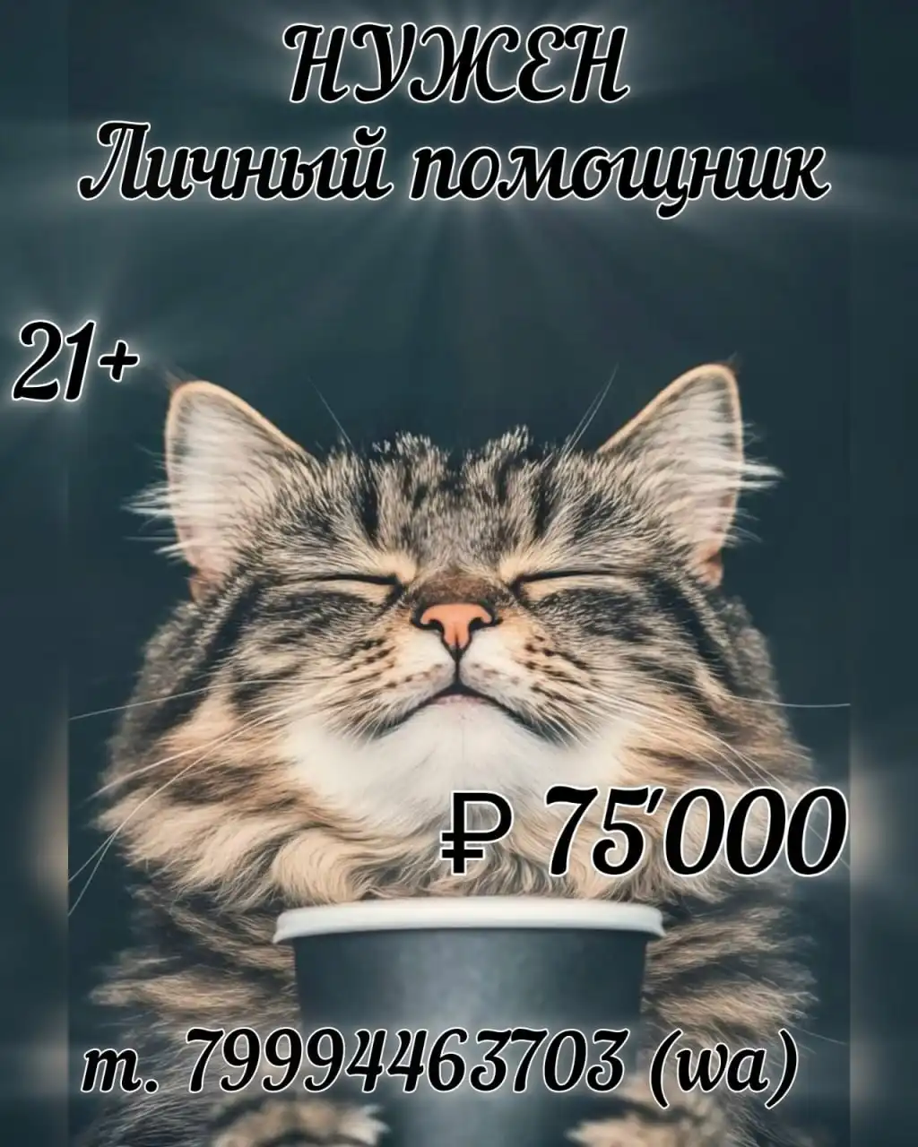 Вакансия личного помощника в Иркутске