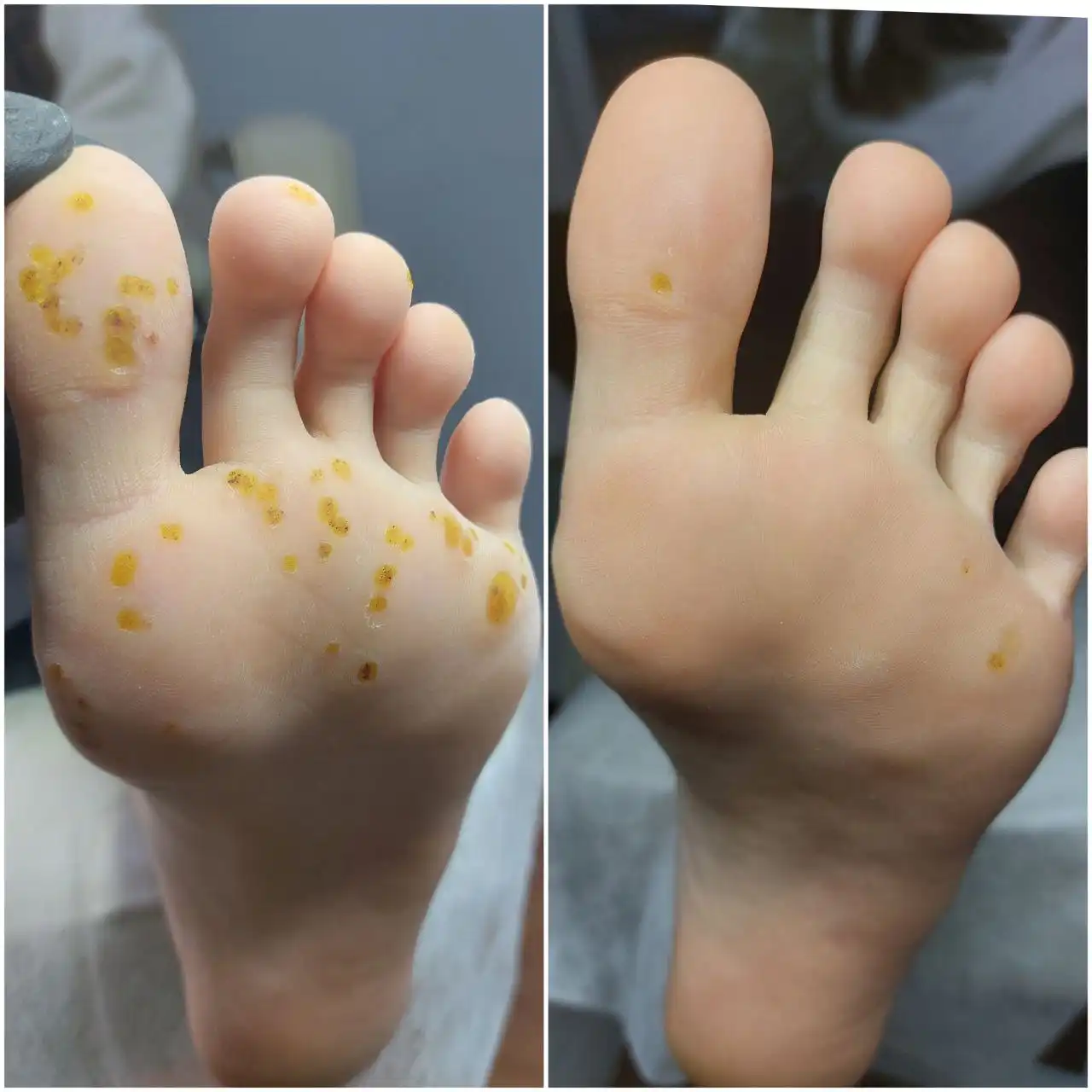 Маникюр и педикюр на декабрь