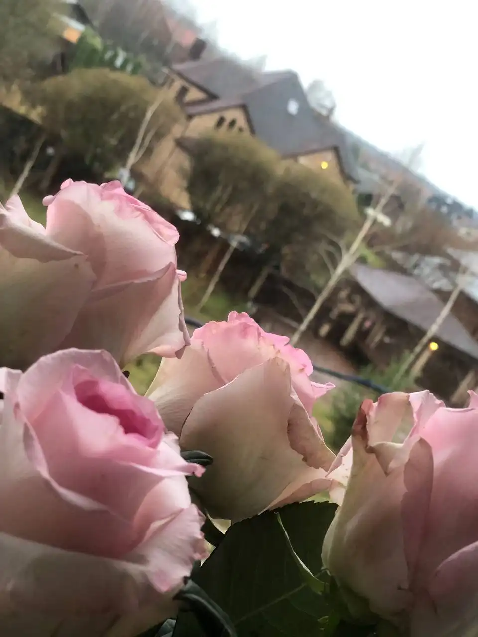 Сдается комната для девушки в ЖК Пятницкие кварталы - Аренда жилья (Недвижимость) в Москва