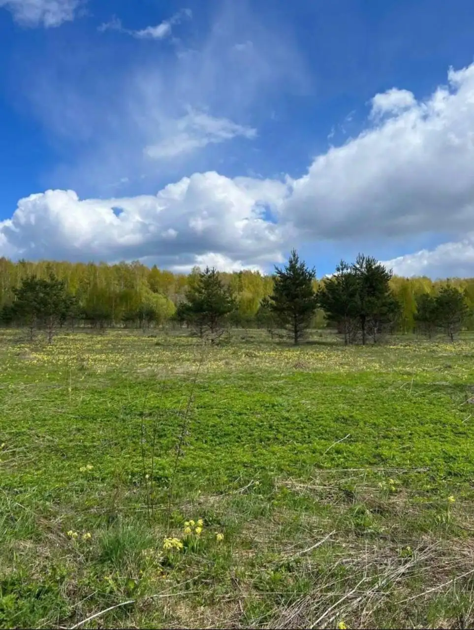 Продажа 5 изолированных участков в поселке Москва Тверская 3 - Земельные участки (Недвижимость) в Вышний Волочек