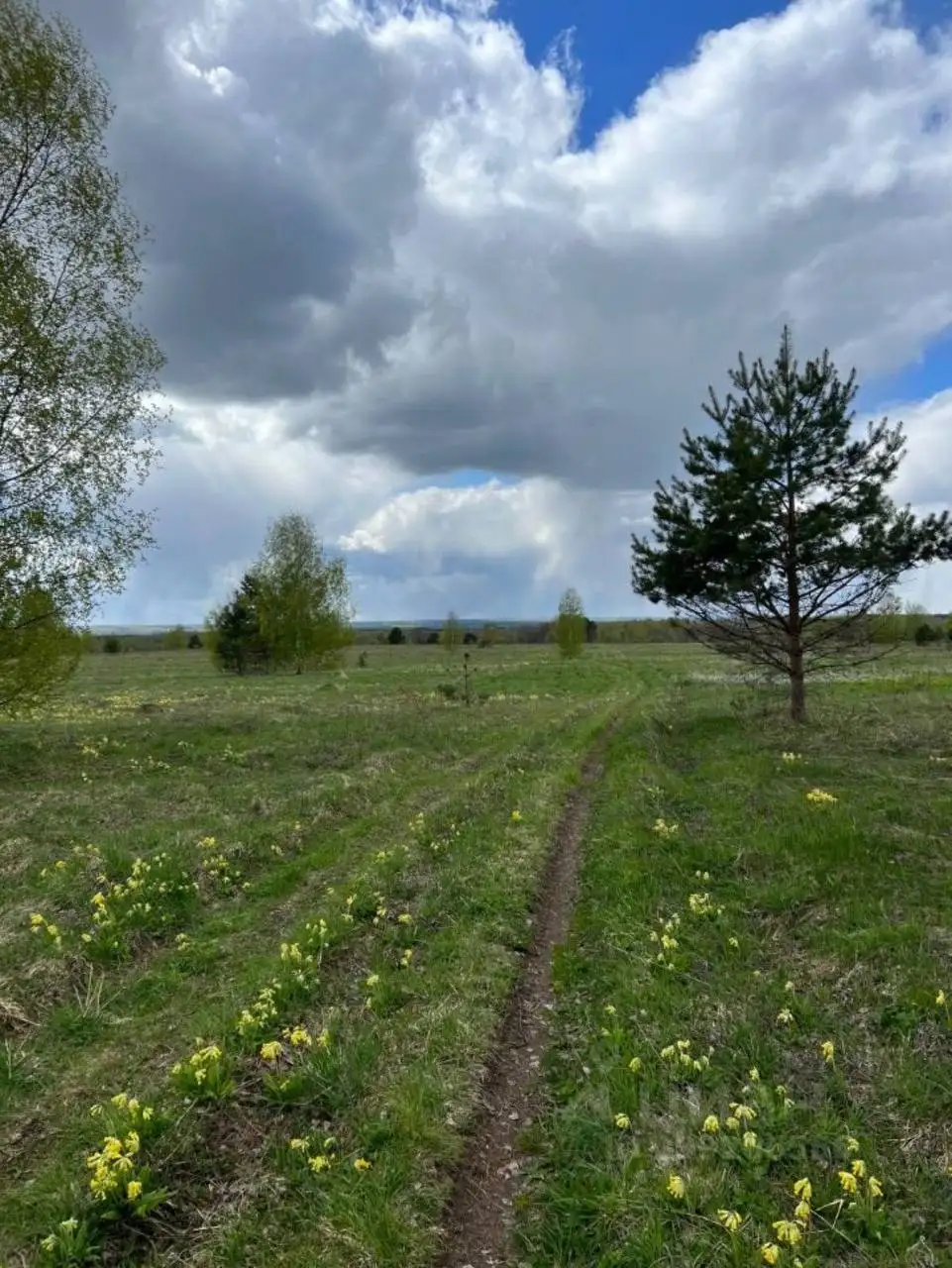 Продажа 5 изолированных участков в поселке Москва Тверская 3 - Земельные участки (Недвижимость) в Вышний Волочек