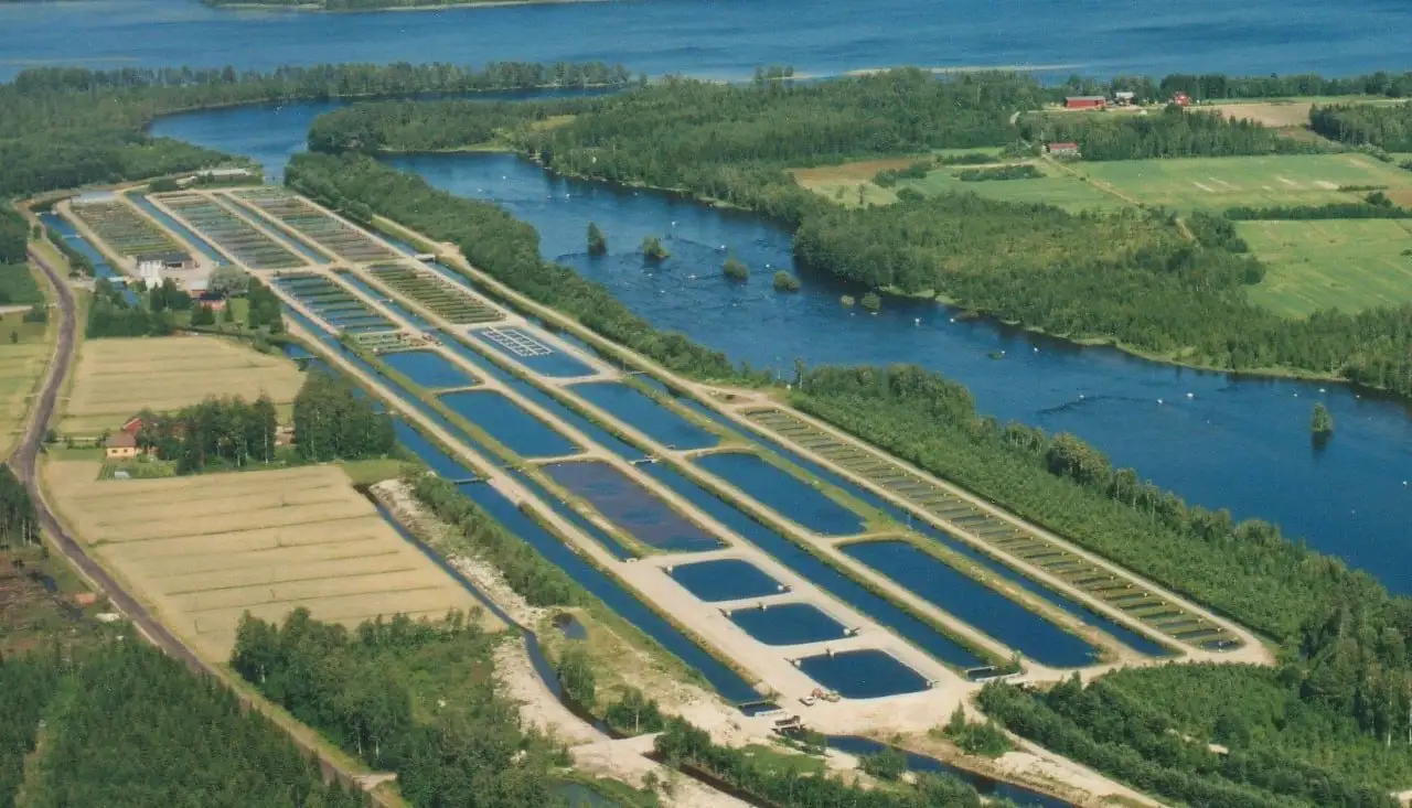 Продажа рыбхоза в Краснодарском крае - Рыбное хозяйство (Готовый бизнес и оборудование) в Краснодарский край