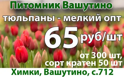 Тюльпаны мелким оптом из питомника Вашутино - Сувениры/Рукоделие в Химки