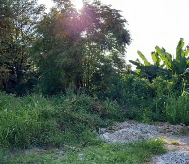 Продажа земельного участка в Сочи - Земельные участки (Недвижимость) в Сочи