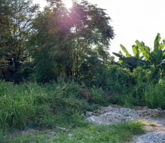 Продажа земельного участка в Сочи, село Раздольное - Земельные участки в Сочи