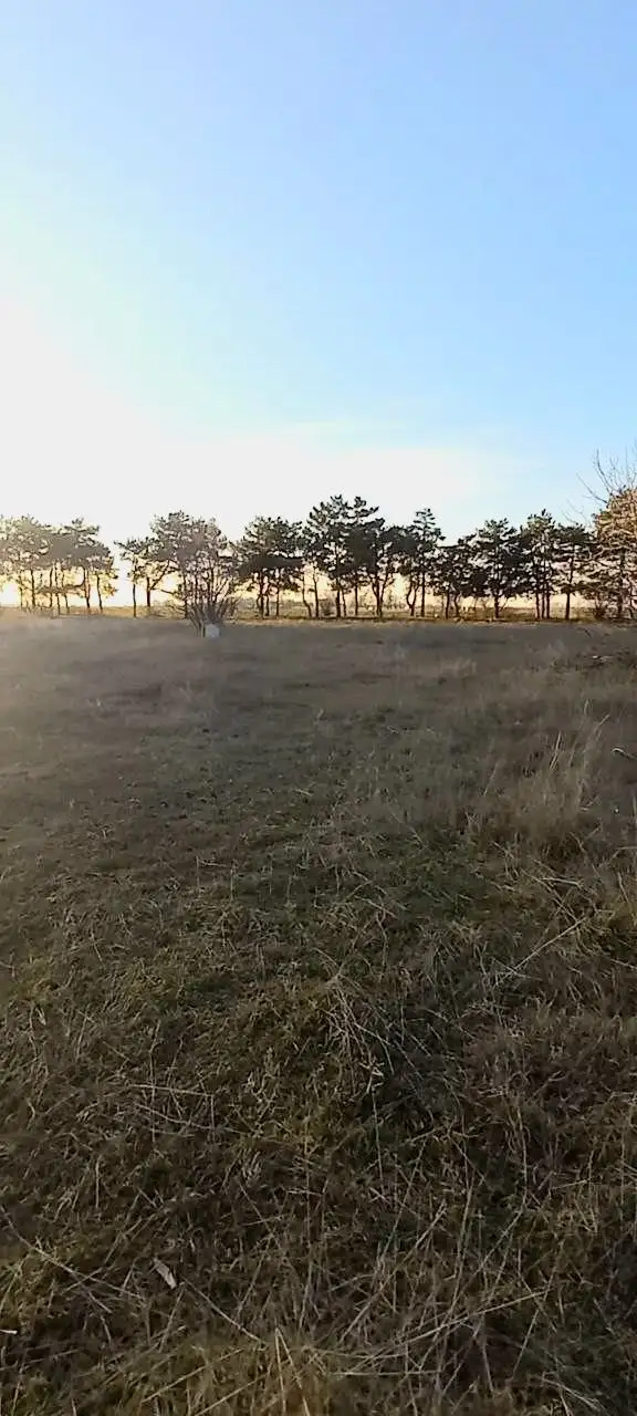 Земельный участок 18 соток в Крыму, Кировский район, п. Абрикосовка - Земля (Недвижимость) в Абрикосовка