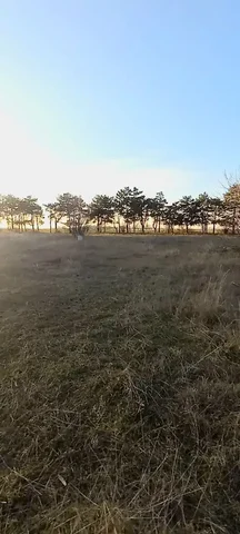 Земельный участок 18 соток в Крыму, Кировский район, п. Абрикосовка - частное объявление в Абрикосовка