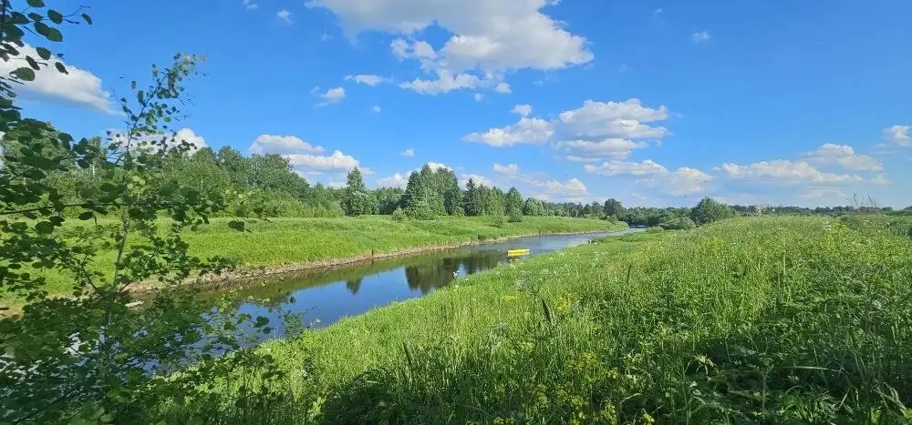 Продажа земельных участков в д. Никулино - Земельные участки (Недвижимость) в Истра