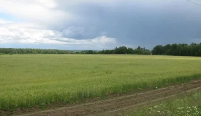 Продажа земельных участков с/х назначения 1770 га - частное объявление в Красноармейск