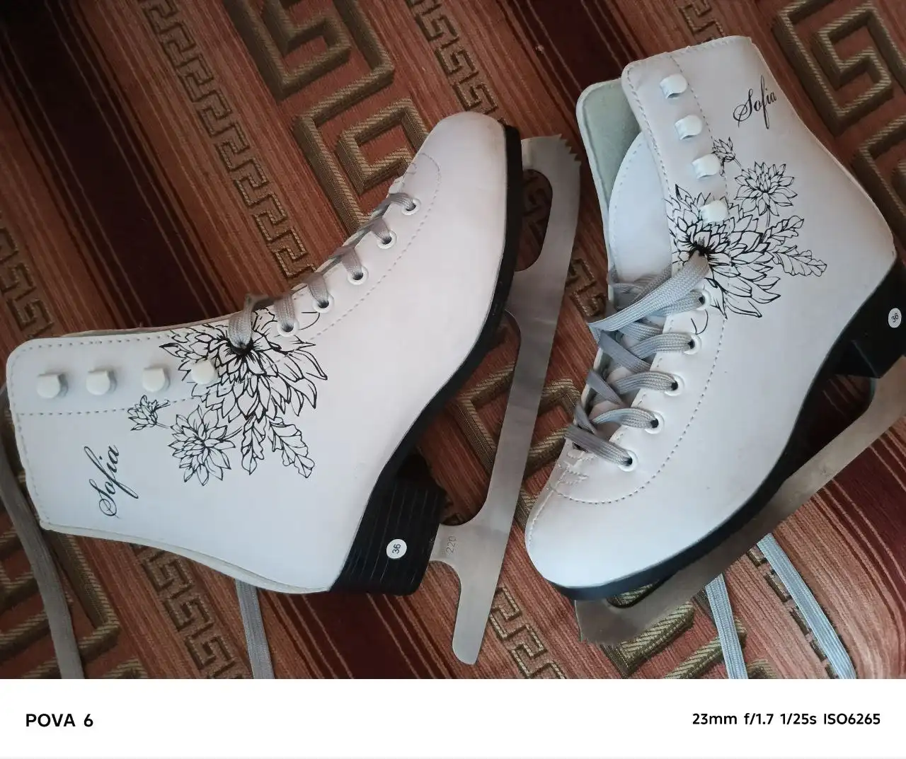 Коньки новые