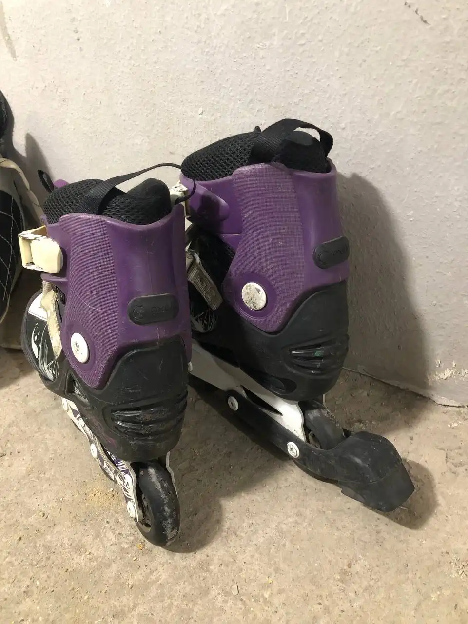 Мужские и женские ролики