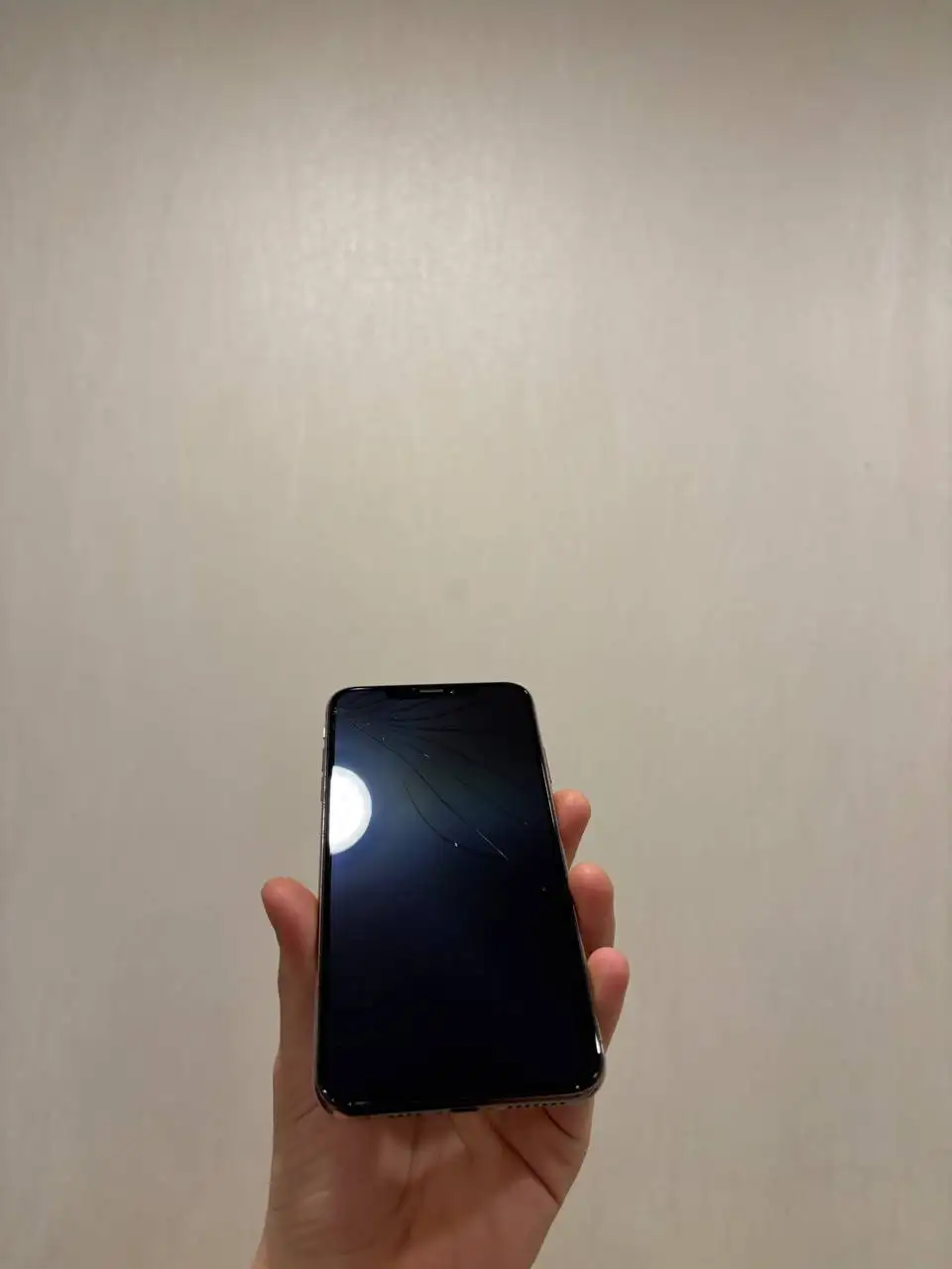 iPhone XS Max 256 ГБ, АКБ 78% - Смартфоны (Электроника) в Балашиха