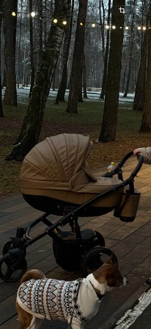 Детская коляска с люлькой и прогулочным блоком - Коляски (Товары для детей) в Балашиха